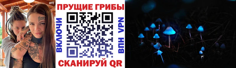мега маркетплейс  Цивильск  Псилоцибиновые грибы Psilocybe 